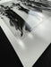 "Sie Kommen Dressed, Paris 1981" 20x24 Hand Signed Vintage Silver Gelatin Print by Helmut Newton (Inquire for Price)-20x24 Signed Vintage Silver Gelatin Print-Helmut Newton-Global Images Helmut Newton Photography