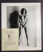 "Big Nude III Henrietta, Paris 1980" 20x24 Vintage Silver Gelatin by Helmut Newton Photography - Helmut Newton