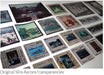 "Stocking Island, Bahamas" by Slim Aarons 40x60 Framed C-print - Slim Aarons