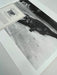 "Crocodile Eating Ballerina, 1983" 20x24 Vintage Silver Gelatin Print by Helmut Newton