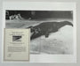 "Crocodile Eating Ballerina, 1983" 20x24 Vintage Silver Gelatin Print by Helmut Newton