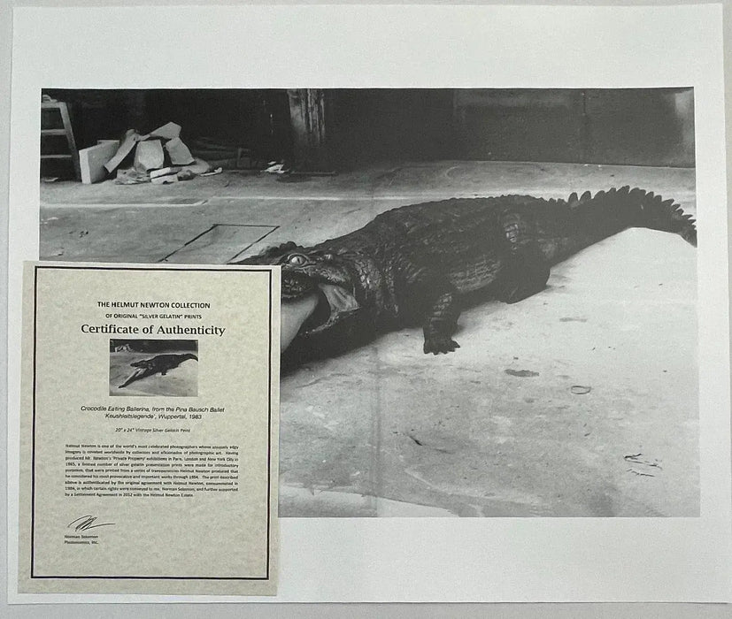 "Crocodile Eating Ballerina, 1983" 20x24 Vintage Silver Gelatin Print by Helmut Newton