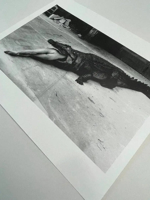 "Crocodile Eating Ballerina, 1983" 20x24 Vintage Silver Gelatin Print by Helmut Newton