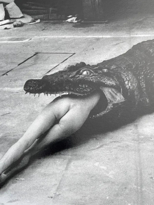 "Crocodile Eating Ballerina, 1983" 20x24 Vintage Silver Gelatin Print by Helmut Newton
