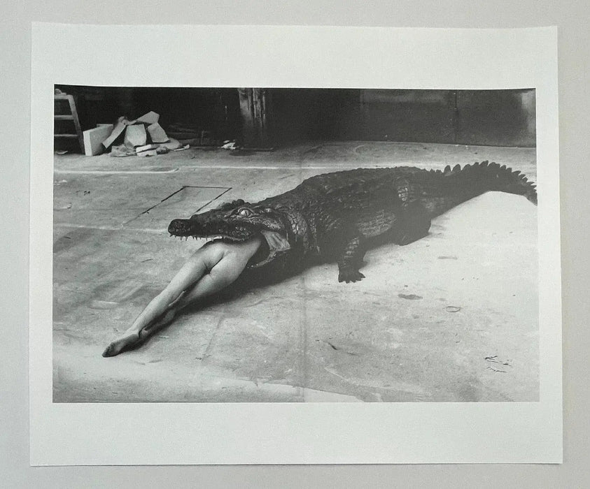 "Crocodile Eating Ballerina, 1983" 20x24 Vintage Silver Gelatin Print by Helmut Newton