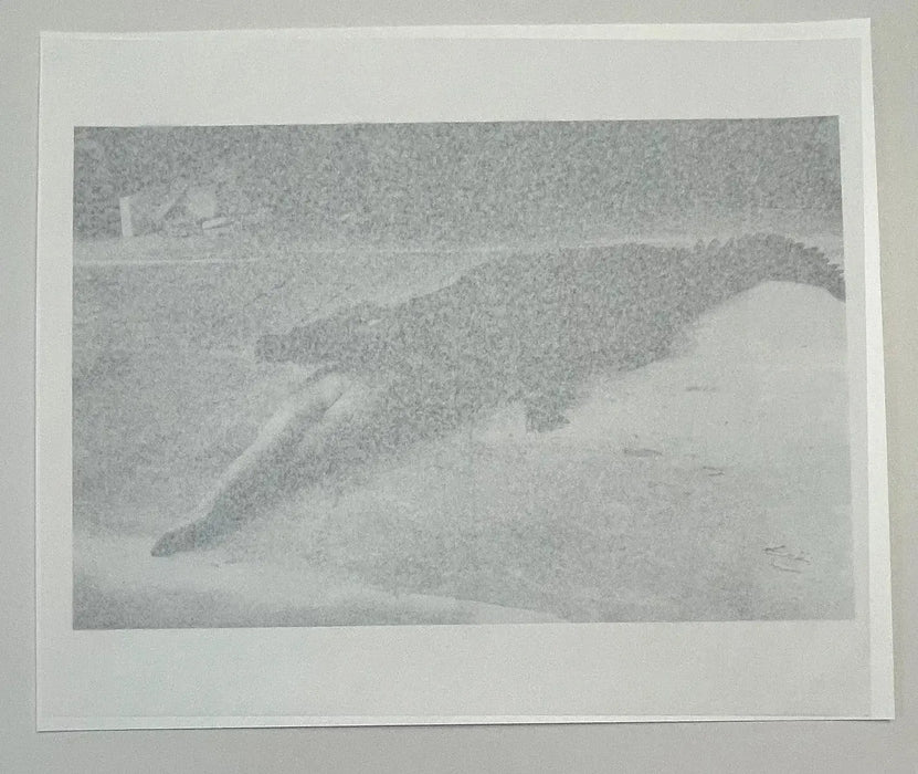 "Crocodile Eating Ballerina, 1983" 20x24 Vintage Silver Gelatin Print by Helmut Newton