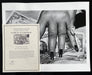 "Fat Hand with Dollars, Monte Carlo 1986" 16x20 Vintage Silver Gelatin Print by Helmut Newton-16x20 Vintage Silver Gelatin Print-Helmut Newton-Global Images Helmut Newton Photography