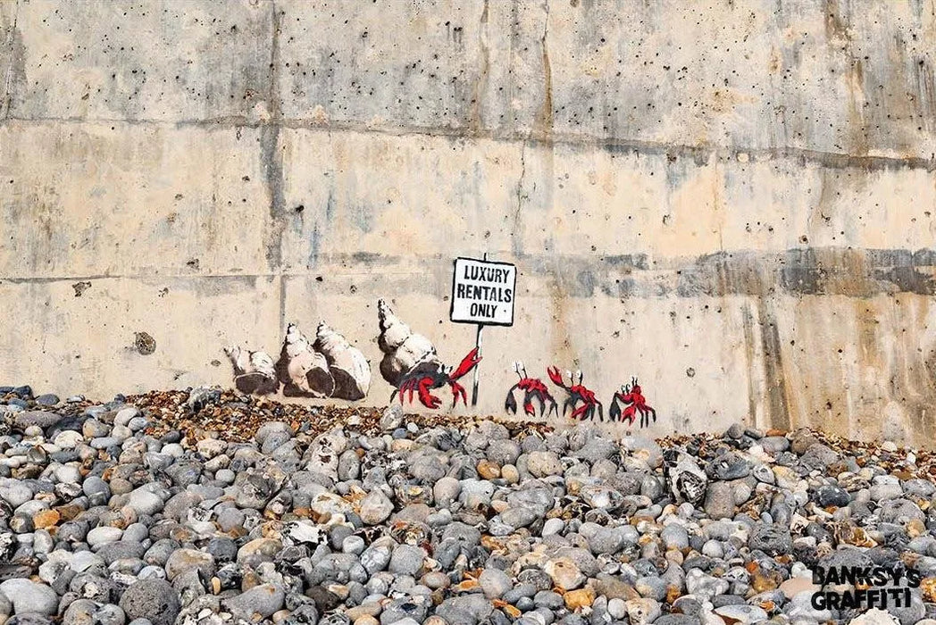 Hermit Crabs by Banksy's Graffiti