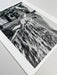 "Winnie On Deck, Cannes 1975" 16x20 Vintage Silver Gelatin Print by Helmut Newton - Global Images USA