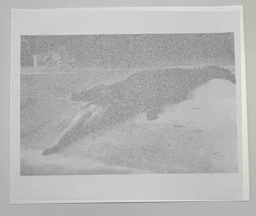 "Crocodile Eating Ballerina, 1983" 20x24 Vintage Silver Gelatin Print by Helmut Newton
