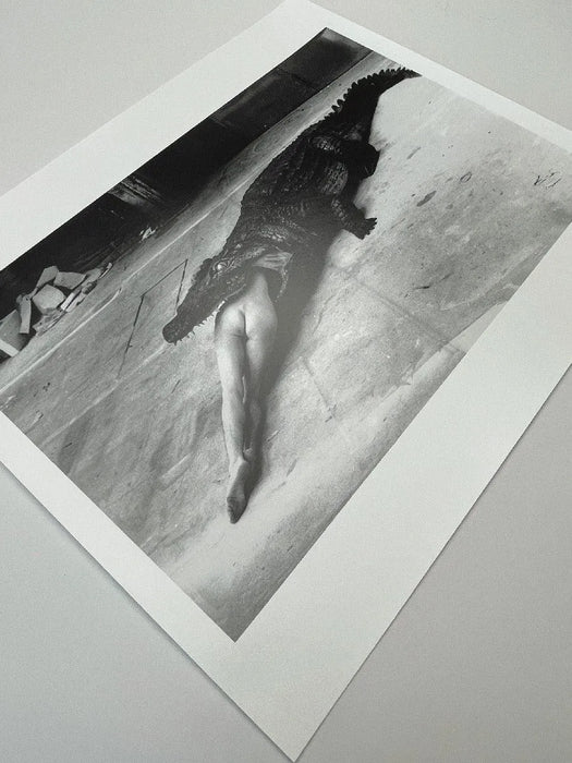 "Crocodile Eating Ballerina, 1983" 20x24 Vintage Silver Gelatin Print by Helmut Newton