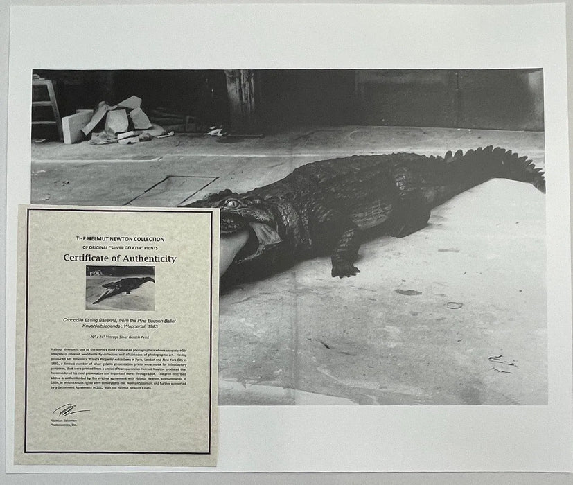 "Crocodile Eating Ballerina, 1983" 20x24 Vintage Silver Gelatin Print by Helmut Newton
