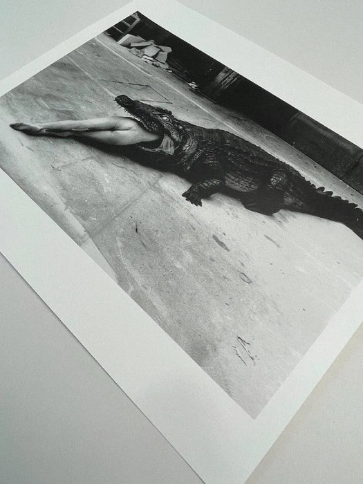 "Crocodile Eating Ballerina, 1983" 20x24 Vintage Silver Gelatin Print by Helmut Newton