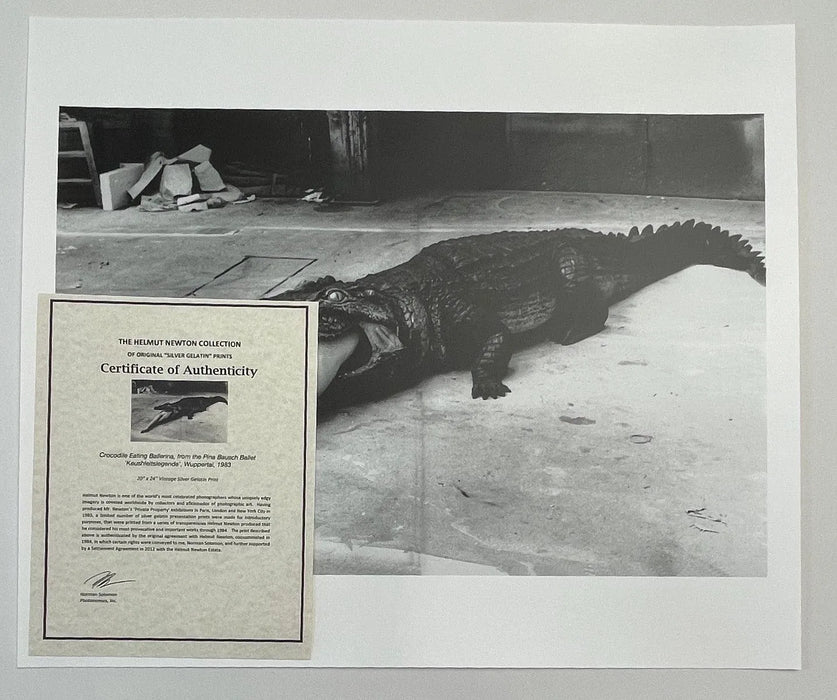 "Crocodile Eating Ballerina, 1983" 20x24 Vintage Silver Gelatin Print by Helmut Newton