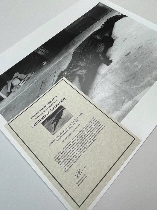 "Crocodile Eating Ballerina, 1983" 20x24 Vintage Silver Gelatin Print by Helmut Newton