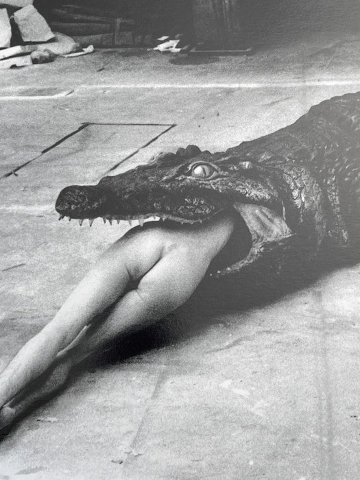 "Crocodile Eating Ballerina, 1983" 20x24 Vintage Silver Gelatin Print by Helmut Newton