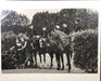 "Le Cadre Noir De Saumur, France 1980" 16x20 Vintage Silver Gelatin Print by Helmut Newton Photography