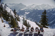 "Lounging In Gstaad" 20x30 Perspex Acrylic Getty Images Collection by Slim Aarons Photography