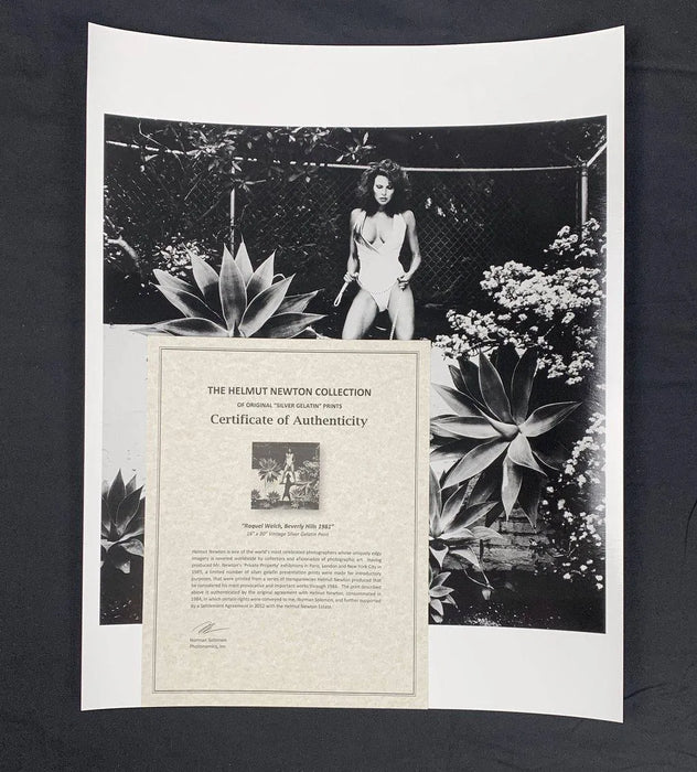 "Raquel Welch, Beverly Hills 1981" 16x20 Vintage Silver Gelatin Print by Helmut Newton