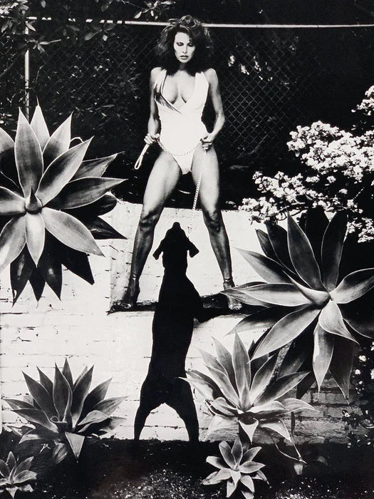 "Raquel Welch, Beverly Hills 1981" 16x20 Vintage Silver Gelatin Print by Helmut Newton