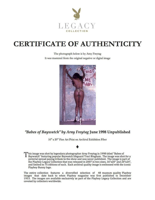 "Babes of Baywatch" featuring Traci Bingham by Arny Freytag Unpublished, 1998
