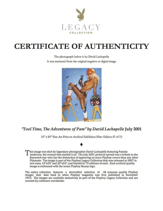 "The Adventures of Pam: Tool Time Girl" featuring Pamela Anderson by David Lachapelle, July 2001