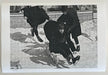 "Beatles Toboggan Ride II" 20x24 Limited Edition Fine Art Print - Global Images Gallery