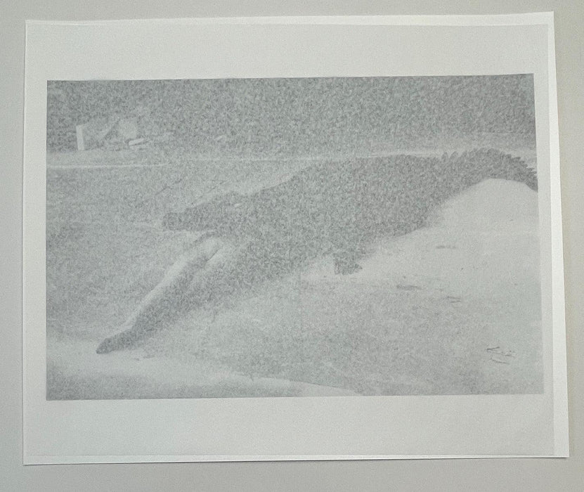 "Crocodile Eating Ballerina, 1983" 20x24 Vintage Silver Gelatin Print by Helmut Newton