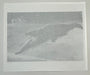 "Crocodile Eating Ballerina, 1983" 20x24 Vintage Silver Gelatin Print by Helmut Newton