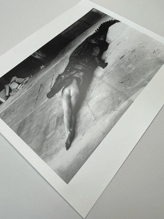 "Crocodile Eating Ballerina, 1983" 20x24 Vintage Silver Gelatin Print by Helmut Newton
