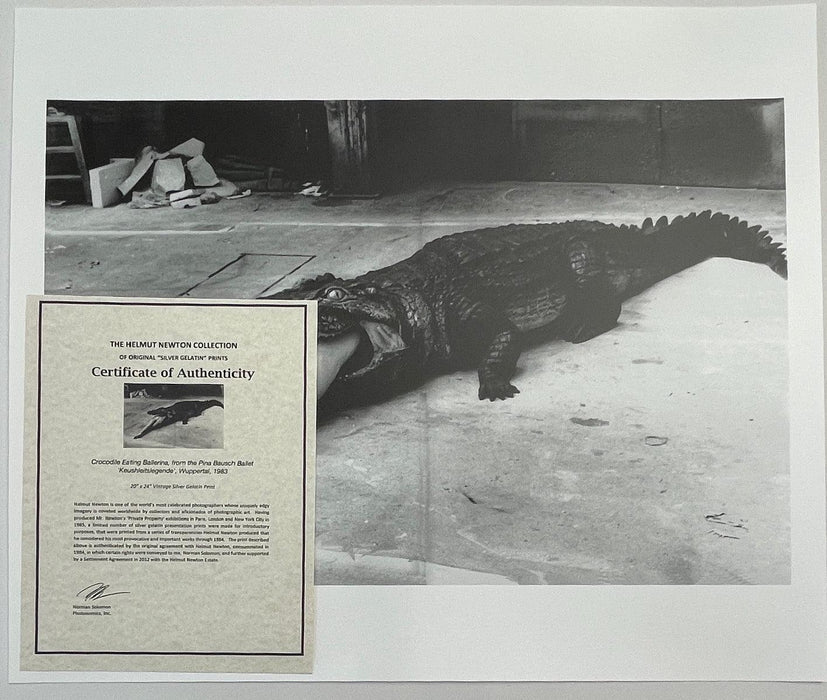 "Crocodile Eating Ballerina, 1983" 20x24 Vintage Silver Gelatin Print by Helmut Newton
