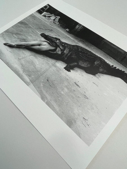 "Crocodile Eating Ballerina, 1983" 20x24 Vintage Silver Gelatin Print by Helmut Newton