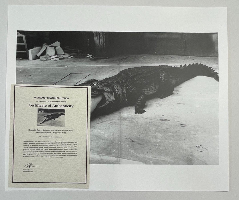 "Crocodile Eating Ballerina, 1983" 20x24 Vintage Silver Gelatin Print by Helmut Newton