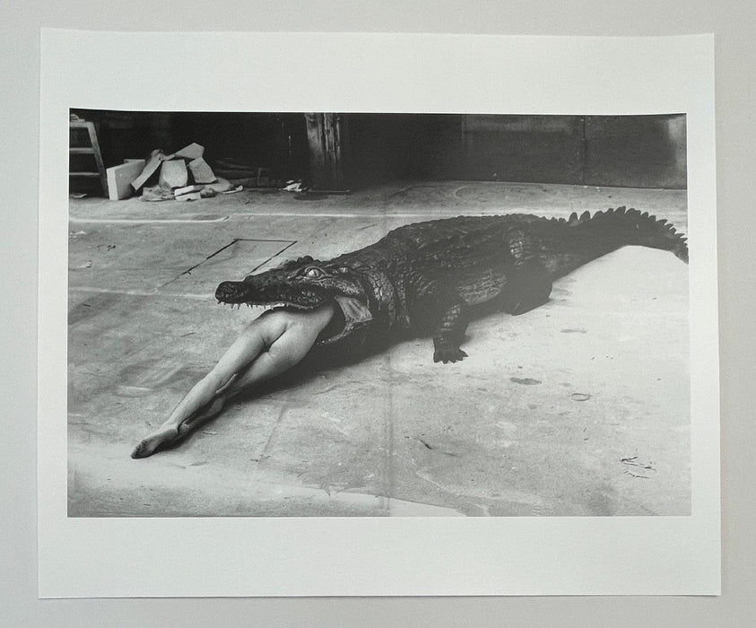 "Crocodile Eating Ballerina, 1983" 20x24 Vintage Silver Gelatin Print by Helmut Newton