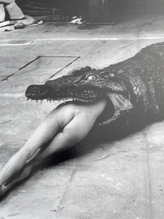 "Crocodile Eating Ballerina, 1983" 20x24 Vintage Silver Gelatin Print by Helmut Newton