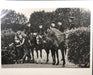 "Le Cadre Noir De Saumur, France 1980" 16x20 Vintage Silver Gelatin Print by Helmut Newton Photography