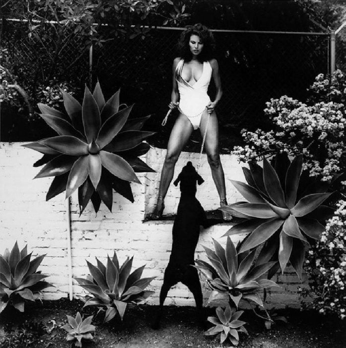 "Raquel Welch, Beverly Hills 1981" 20x24 Vintage Silver Gelatin by Helmut Newton Photography-20x24 Signed Vintage Silver Gelatin-Helmut Newton-Global Images Helmut Newton Photography