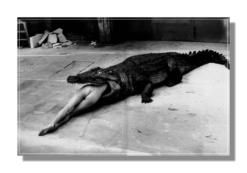 "Crocodile Eating Ballerina, 1983" 20x24 Vintage Silver Gelatin Print by Helmut Newton Photography