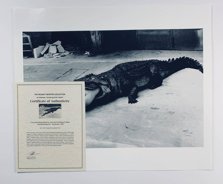 "Crocodile Eating Ballerina, 1983" 20x24 Vintage Silver Gelatin Print by Helmut Newton Photography