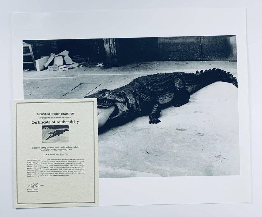 "Crocodile Eating Ballerina, 1983" 20x24 Vintage Silver Gelatin Print by Helmut Newton Photography