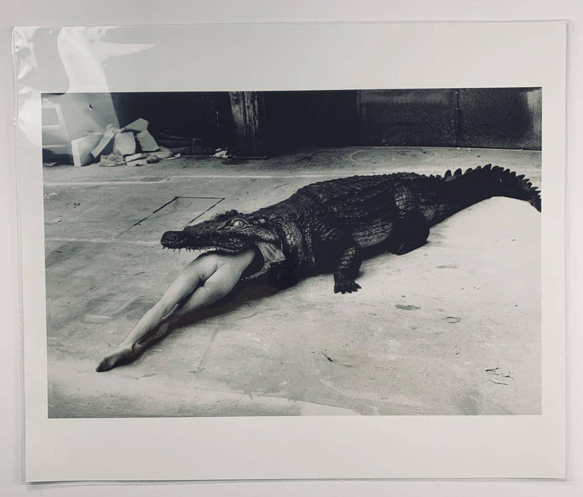 "Crocodile Eating Ballerina, 1983" 20x24 Vintage Silver Gelatin Print by Helmut Newton Photography