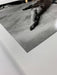 "Crocodile Eating Ballerina, 1983" 20x24 Vintage Silver Gelatin Print by Helmut Newton Photography