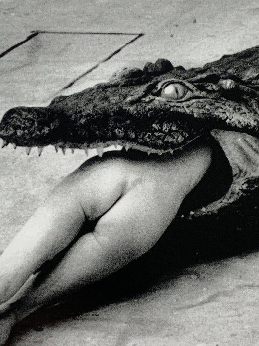 "Crocodile Eating Ballerina, 1983" 20x24 Vintage Silver Gelatin Print by Helmut Newton Photography