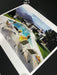"Poolside Gossip" by Slim Aarons 20x24 Unframed Getty Images C-Print - Slim Aarons
